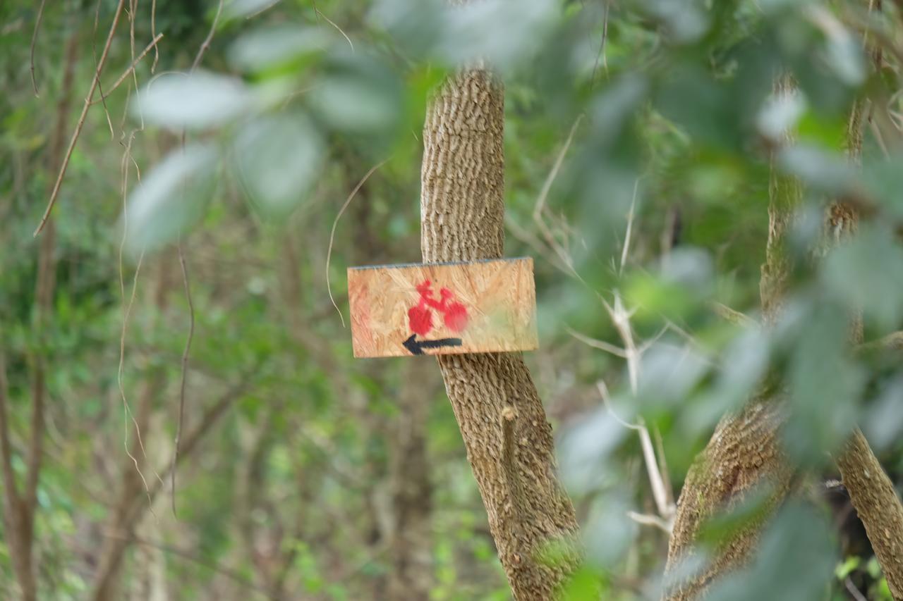 מלון צ'יאנג מאי Camp Story Chiangmai מראה חיצוני תמונה